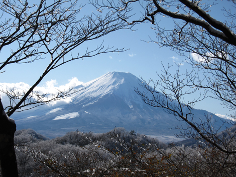 20191129hike (292)